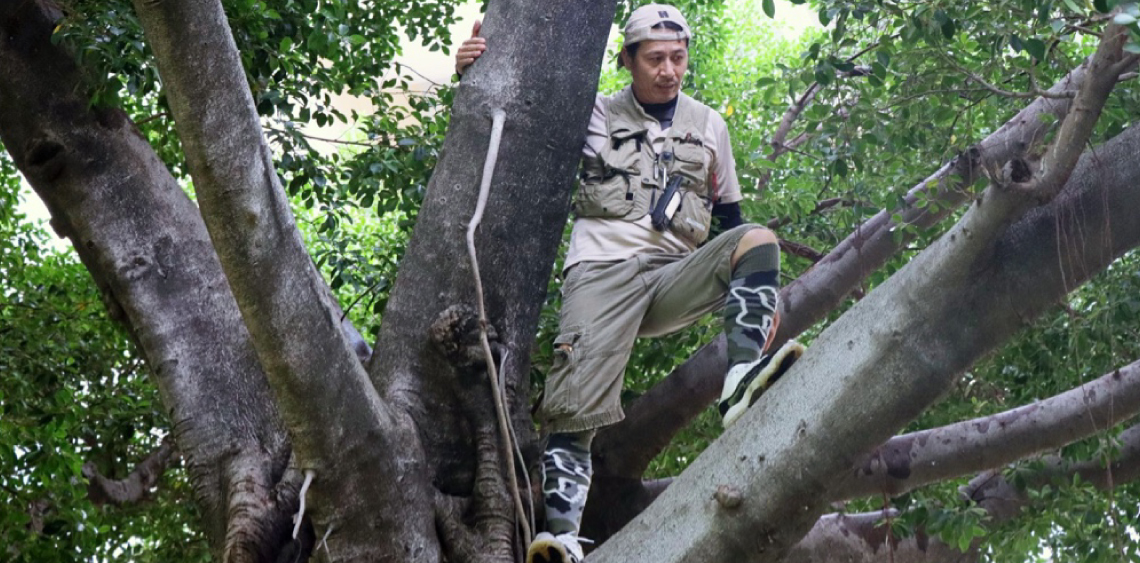 intro_beagiver__pic-article-06